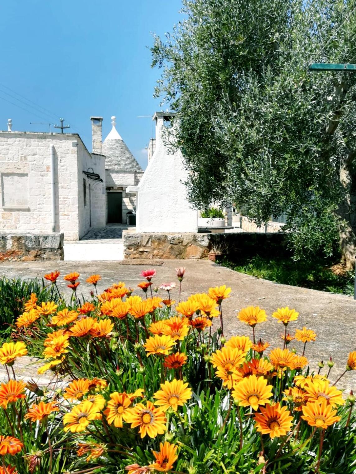 Maison Milleottocento Cisternino Kültér fotó